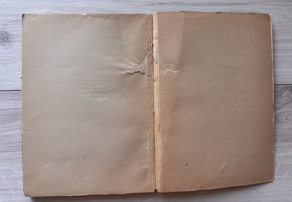 Amintiri și note despre diplomatul român Nicolae Titulescu  “Nicolae Titulescu. Amintiri, note, reflexii” de B. Branișteanu