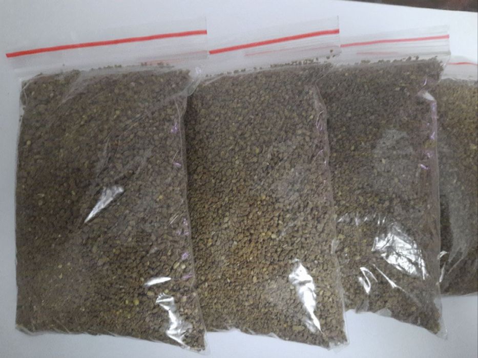 Baliq uchun multiy kõrim