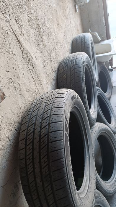 Рабочи балонлар бор нархлари хархел