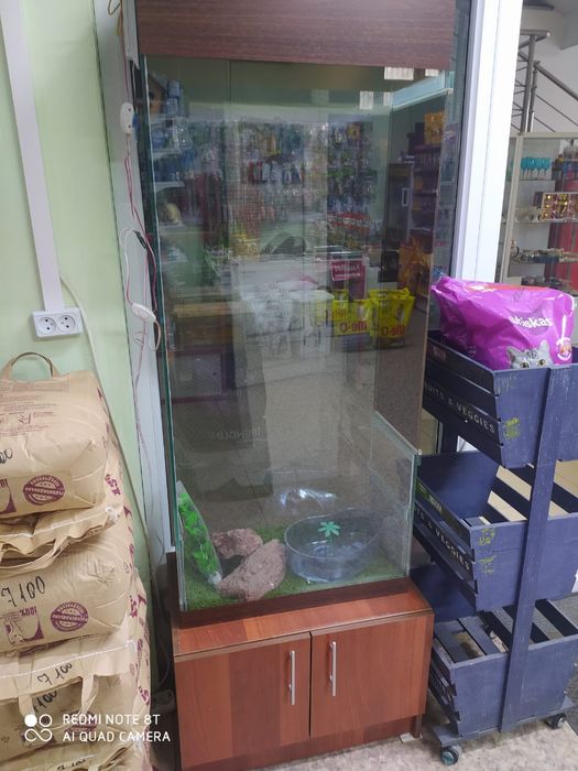 Террариум для рептилий