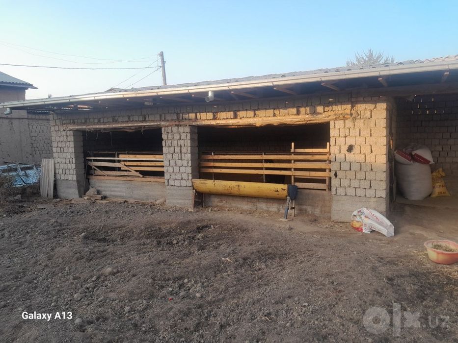 Катта ховли ретро уй Чинободд марказида катта ховли 13 сотикли ховли 5
