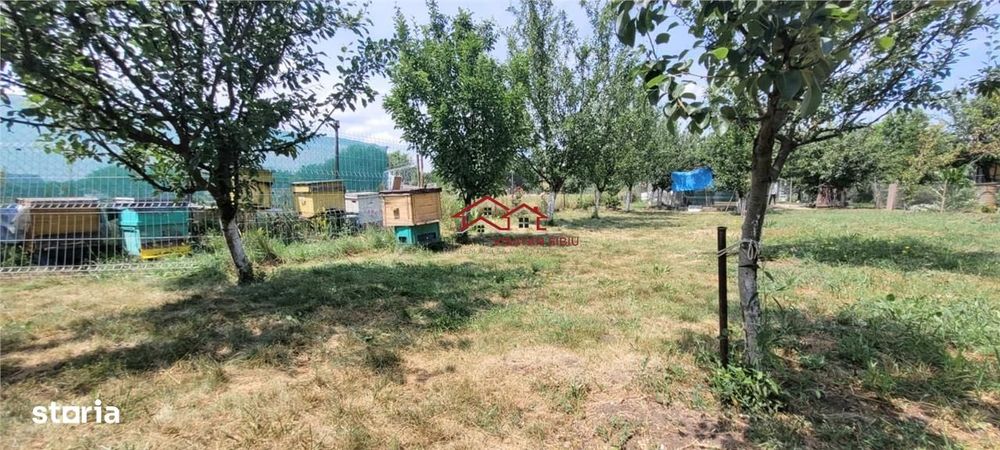Teren 3100 mp cabana potential investitional Sura Mica Sibiu
