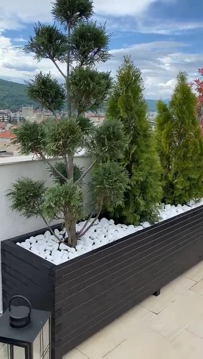 Jardiniere si ghivece (pret redus) pt terase si gradini - lemn masiv