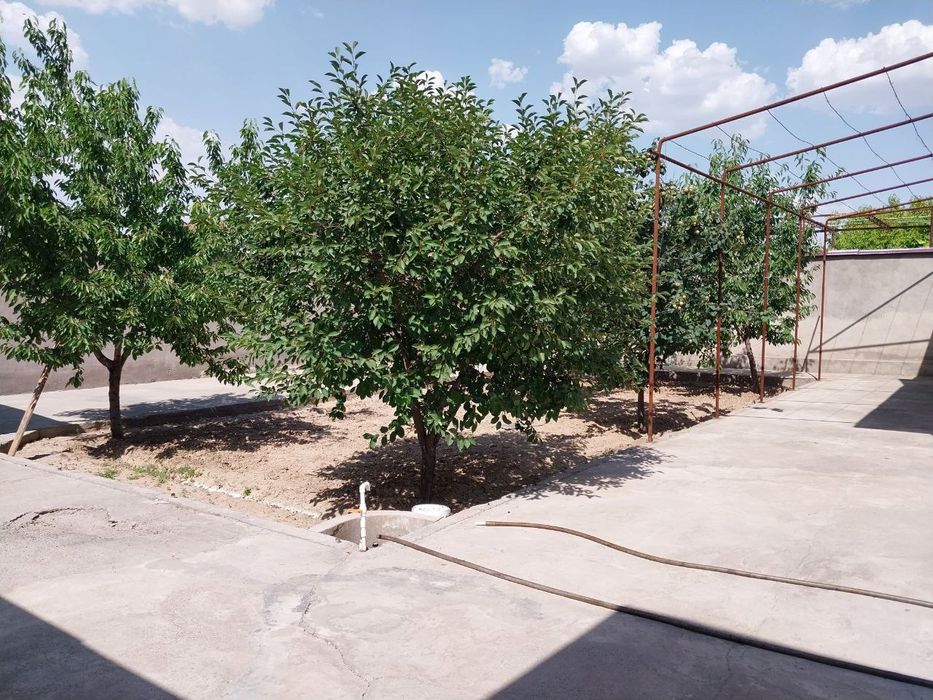 Коттежд Дом 6 сотихли сотилади