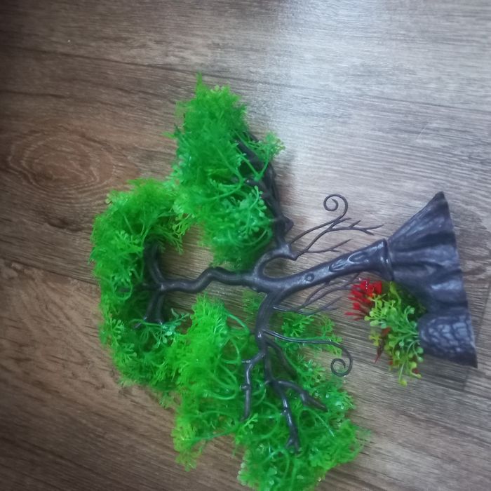 продам рыбки гуппи и улитки.