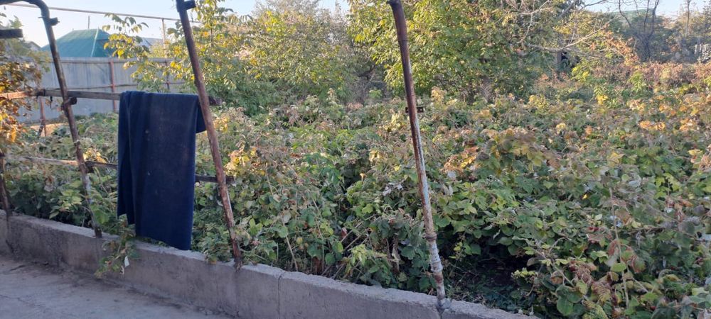 Продам тёплый дом  Шолдала