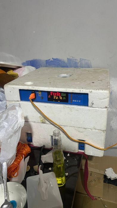 инкубатор 180 тали