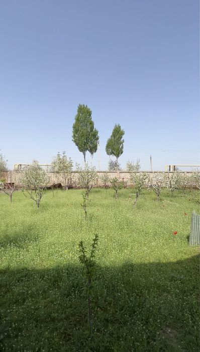 Yer sotiladi, toshkent shaxar, 4 so’tiq faqat sotiladi