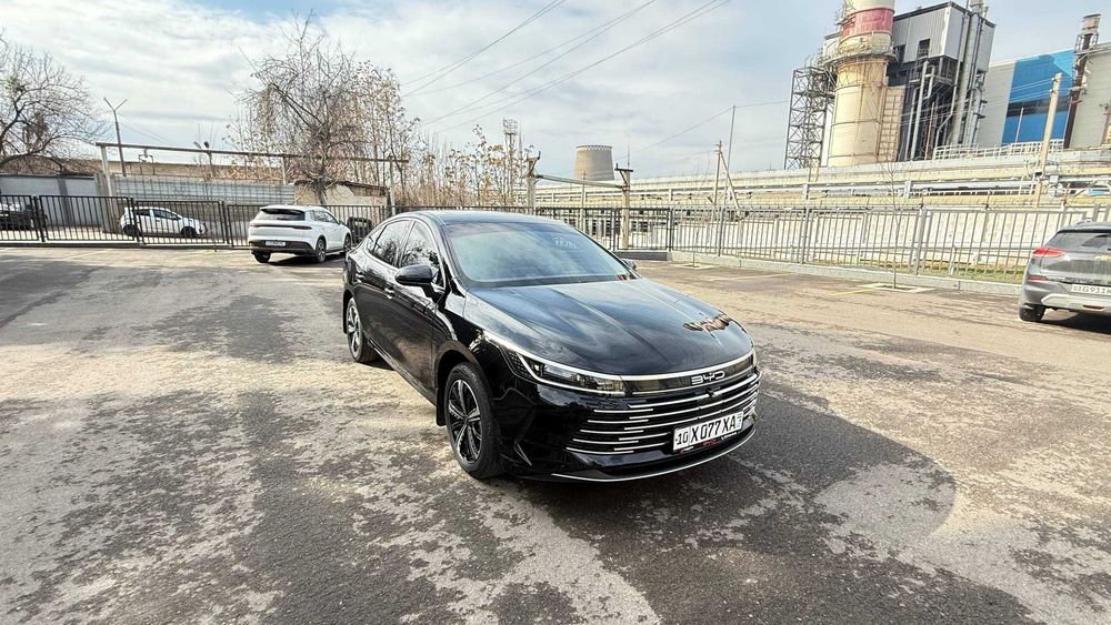 BYD CHAZOR 3 позиция 120 талик
