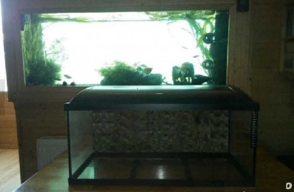 Vand diferite acvarii pentru pesti