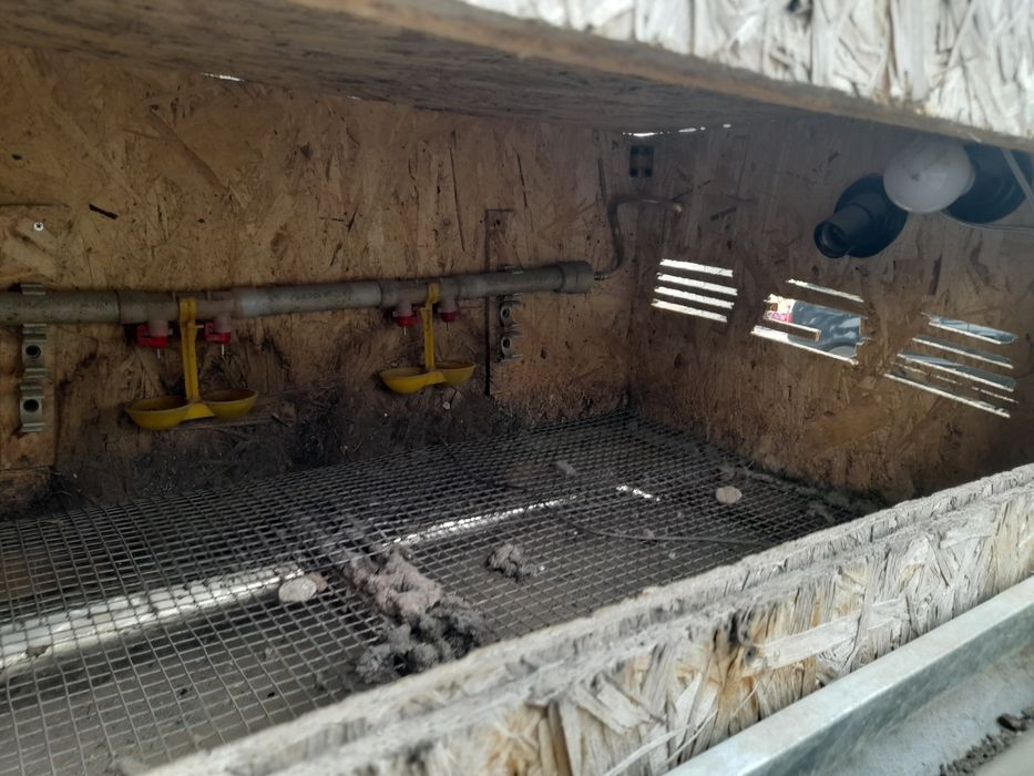 клетка для перепюлок срочно