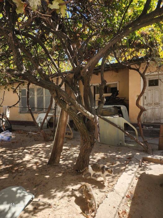 Никитина  Дом  под слом 5,3 соток