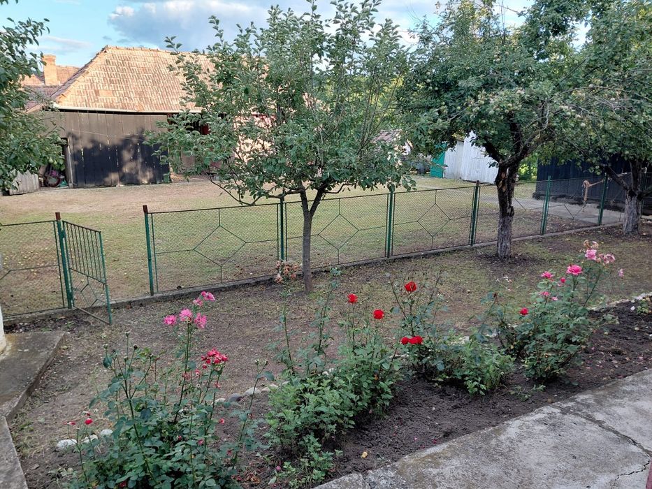 Casa de vanzare - zona rurala linistita