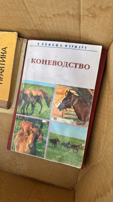 Книги в наличие