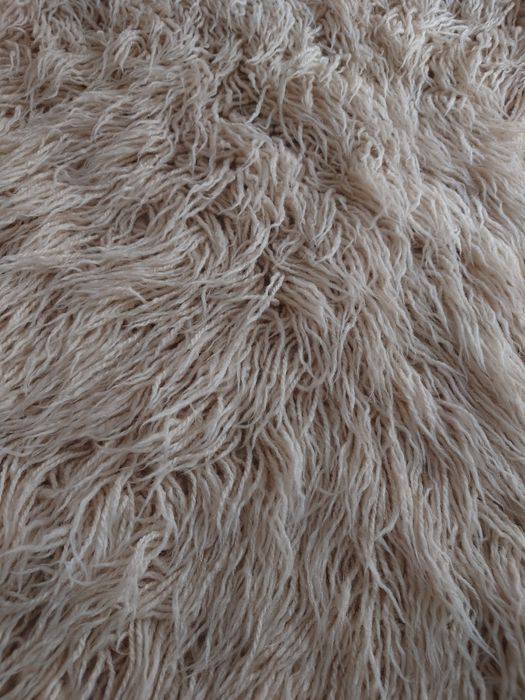 Китеник (Аша) бял