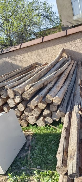 Тахта тусинлар Страпила сотилади