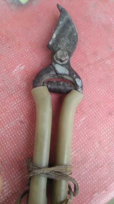 Секатор или сучкорез.ссср.цена за один.