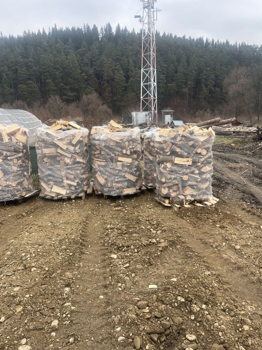 Lemn foc fag 500lei paletul