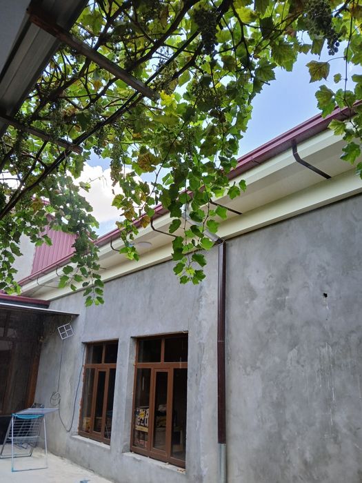 Аликафон алукавон алукафон alukapon alykavon alkafon alikabon master