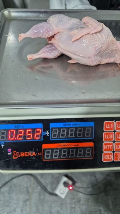 Перепёлка 1500тг 1шт,