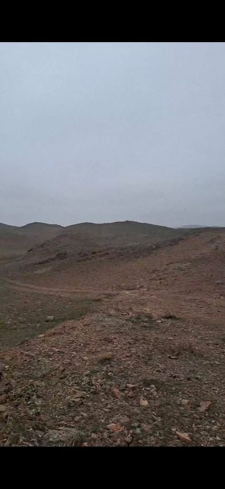 Фазенда сатылады  1600га