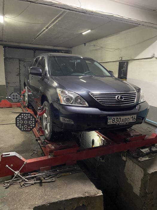 Костоправ маляр