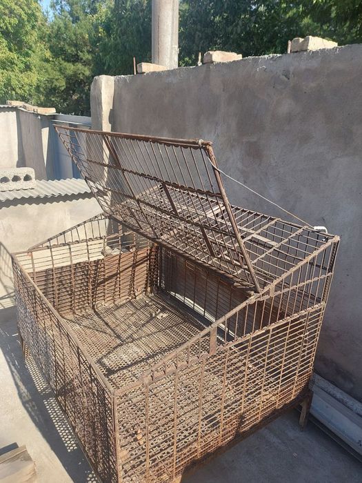 Клетки для крылатых