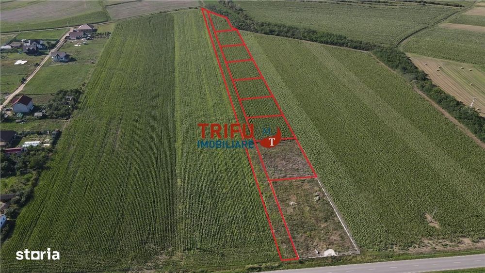 Teren de vanzare in Ighiu 1000 mp