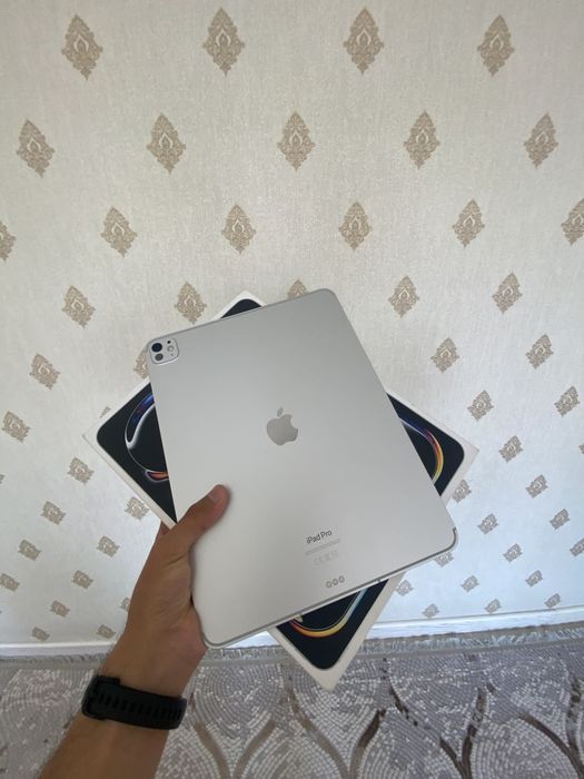 Ipad pro M4 13 (sim)