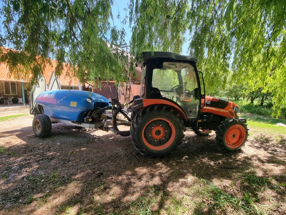 Яблоневый сад...