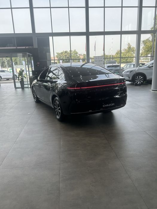 Byd chazor champion 55 active