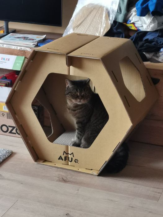 Картонена къща за котки тип кошер
