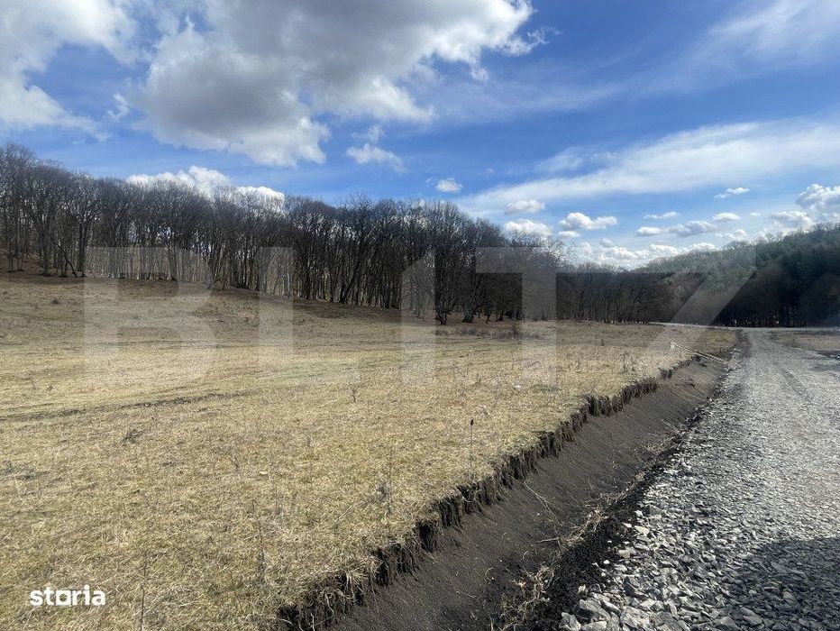 Teren extravilan de vanzare, 2,4 hectare, zona drumul Tarpiului