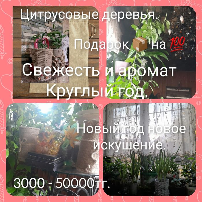 Пакеты на новый год