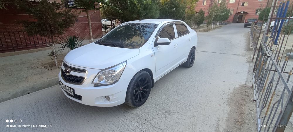 Cobalt 2022/2023