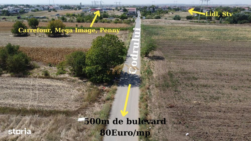 Teren intrare comuna Berceni, Codrului, 430 mp