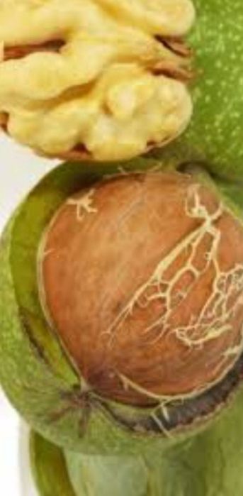 Nuci în coajă deosebit de mari cu coaja subțire