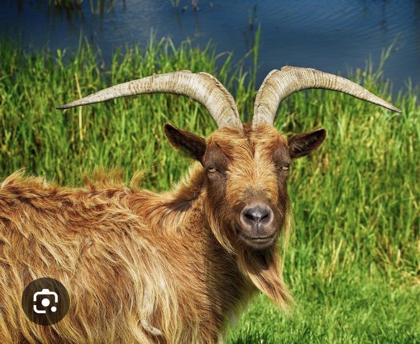 Торус 14 с резиной