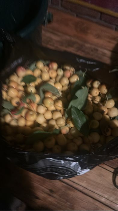 Продам Виноград и ранетки