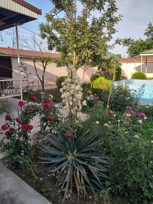 Срочно продается дача-уютный дом на 3 участках ТАШМОРЕ