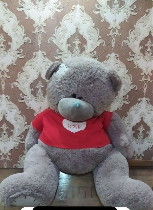 Teddy sotiladi yengide