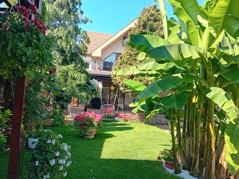 Locatie de închiriat în Regim Hotelier