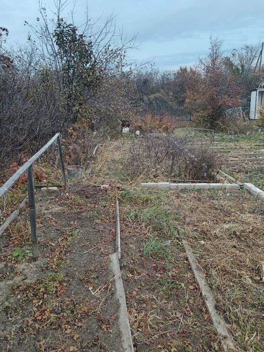 Продам дачу Садоводческое общество "Элеваторщик"