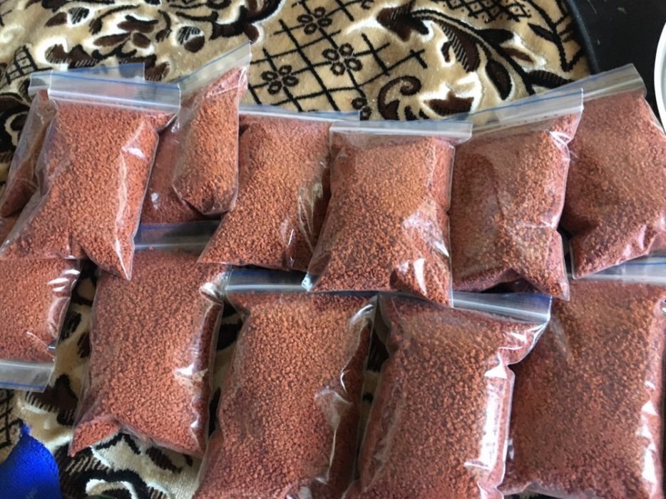 Hrana-mancare pesti exotici- diferite granulatii si tipuri per specie ...