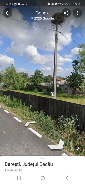 Gradina de vanzare beresti sascut