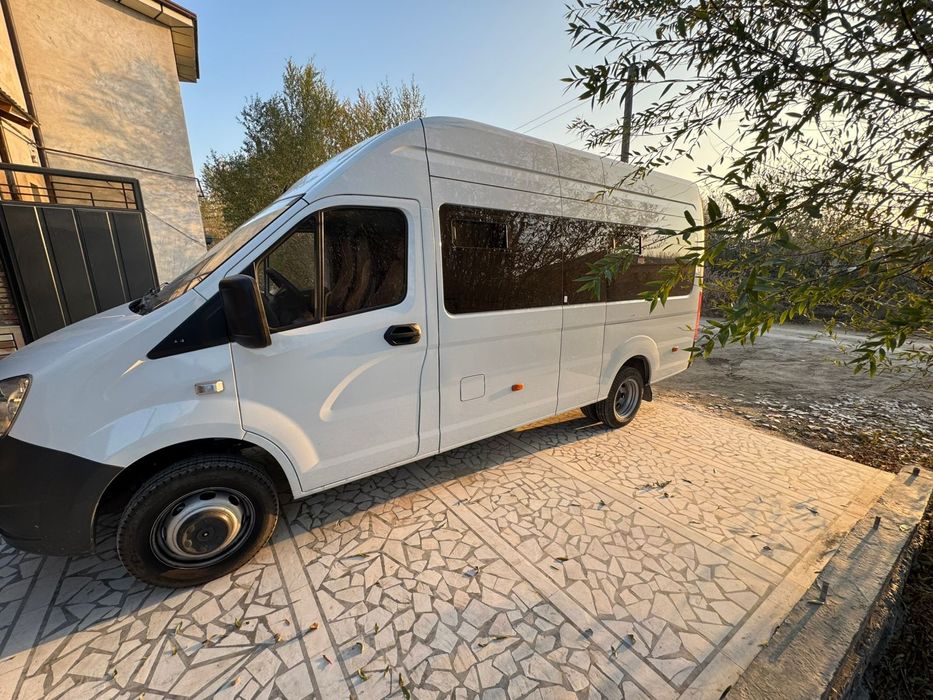 Газель нехт 2024