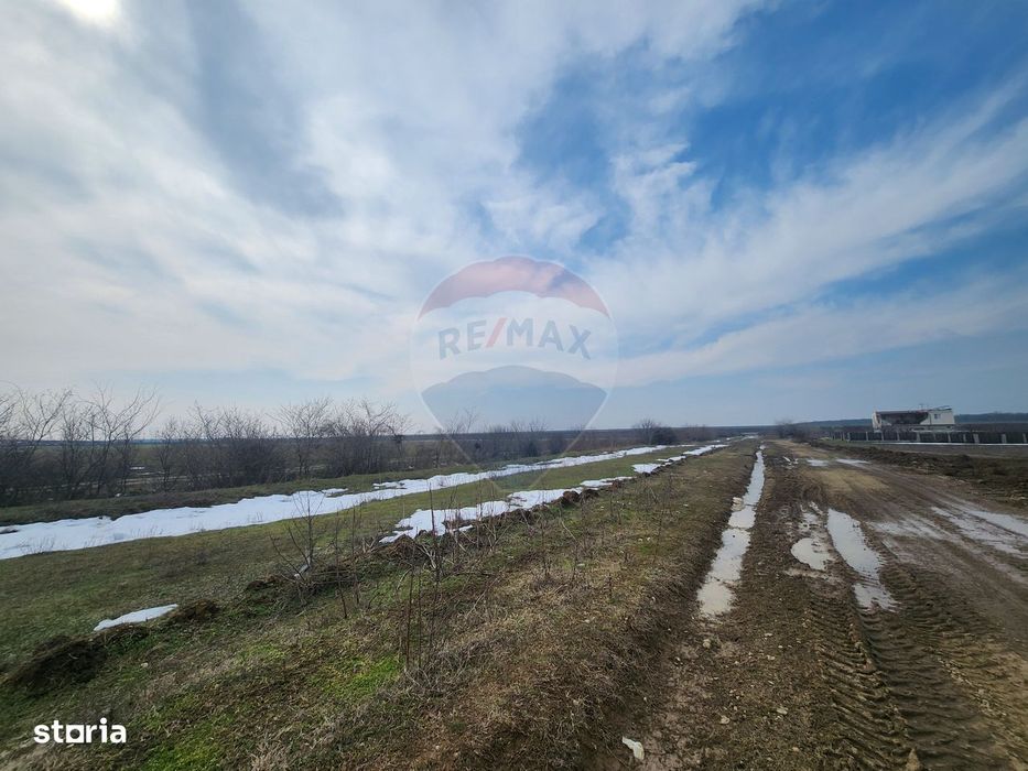 Teren intravilan 3,4 Ha Ciorogarla str. Nicolae Iorga