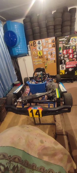 Спортивный картинг