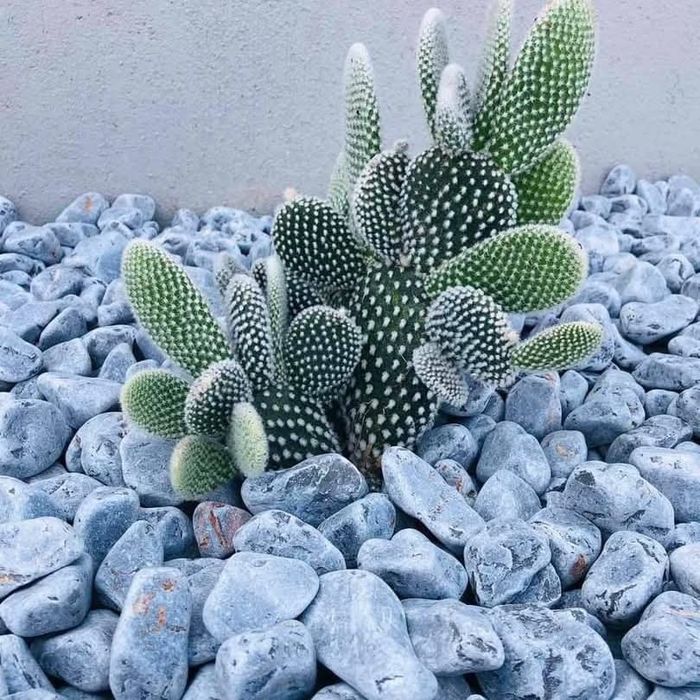 Depozit Piatra decorativa ornamentală din Grecia toate culorile