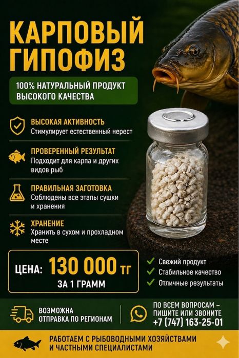 Гипофиз Карповый